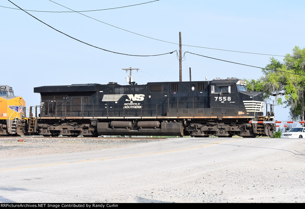 NS 7558 South